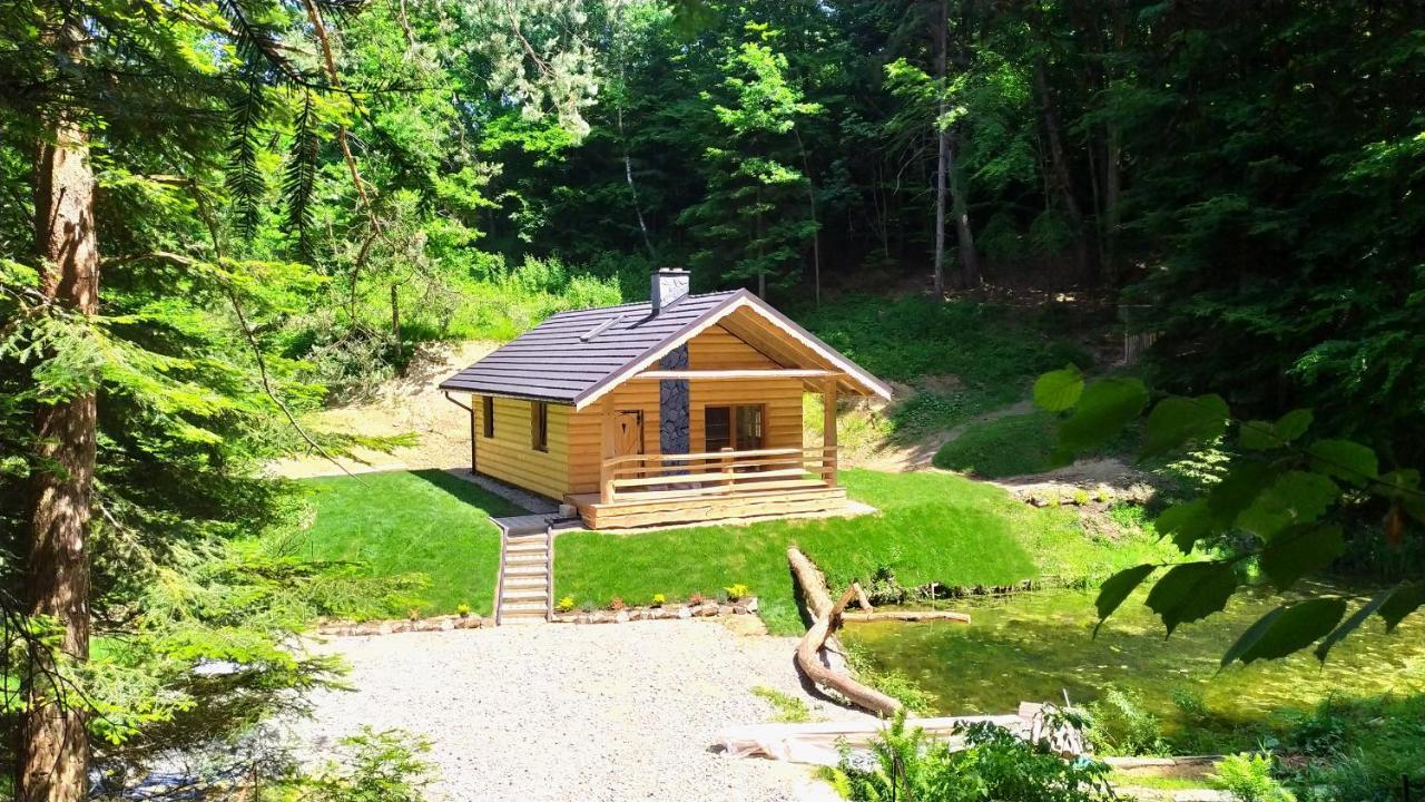 Bieszczady Nad Stawem Lodge *