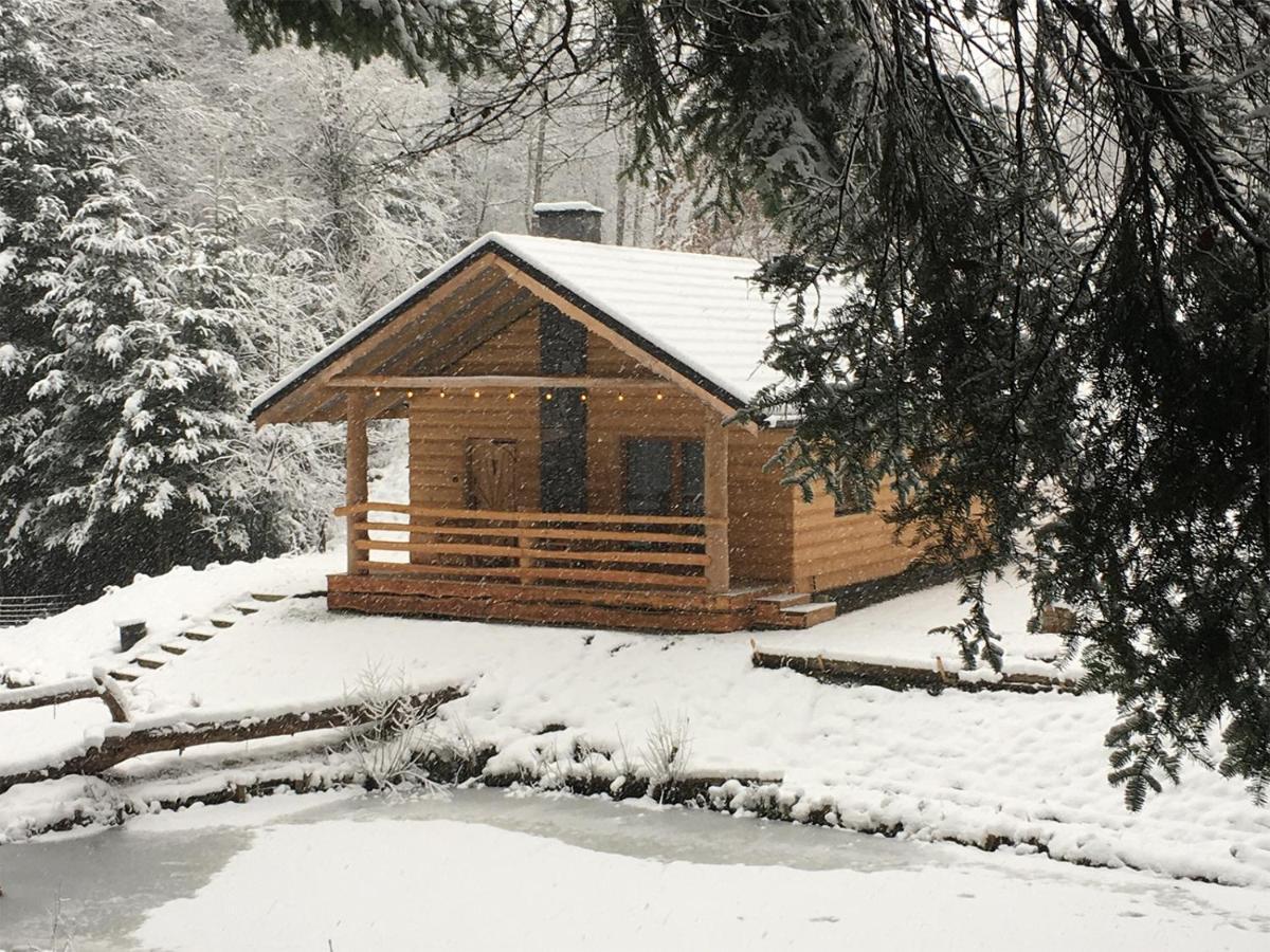 Lodge Bieszczady Nad Stawem Lesko