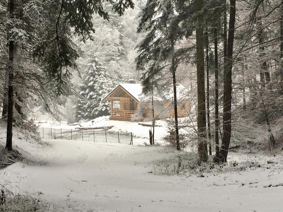 Bieszczady Nad Stawem
