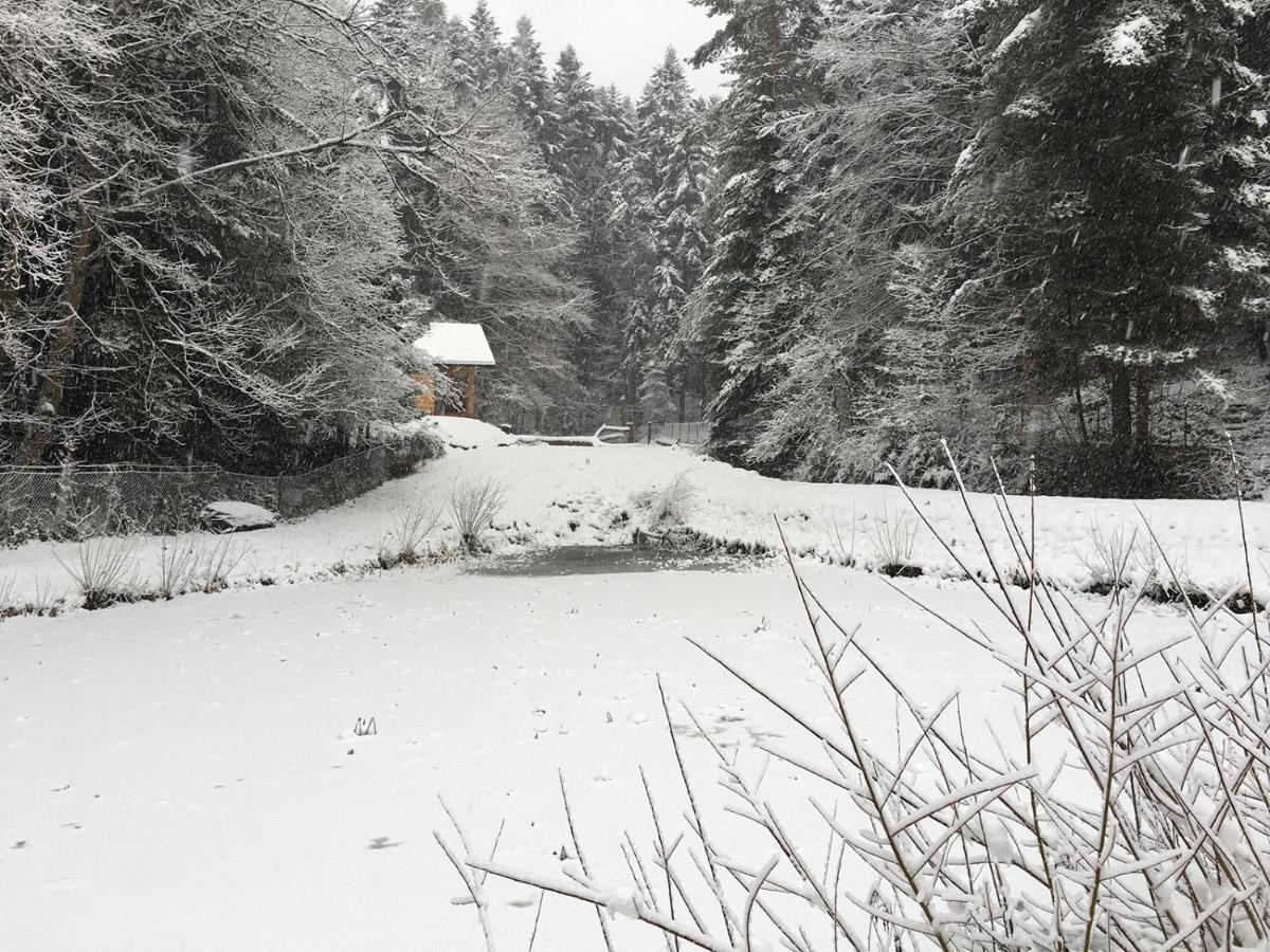 Bieszczady Nad Stawem