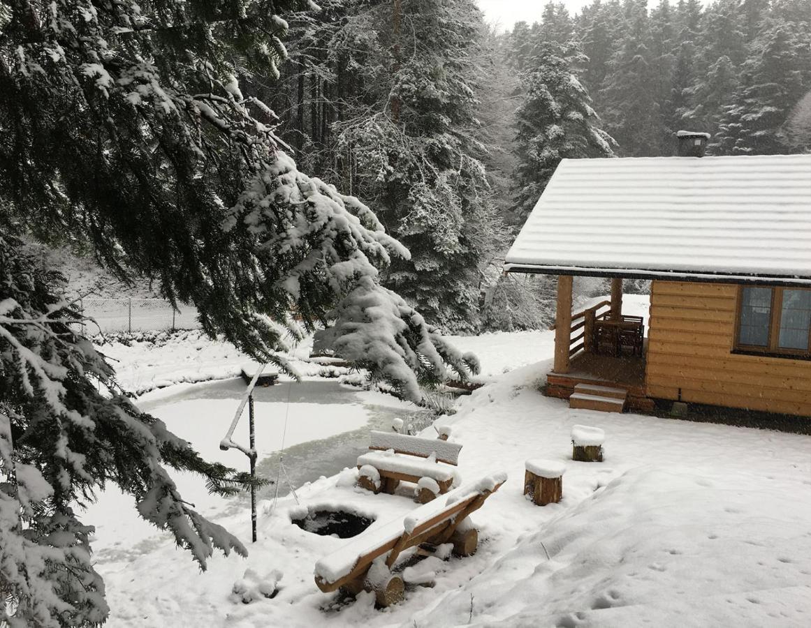 Bieszczady Nad Stawem Lodge