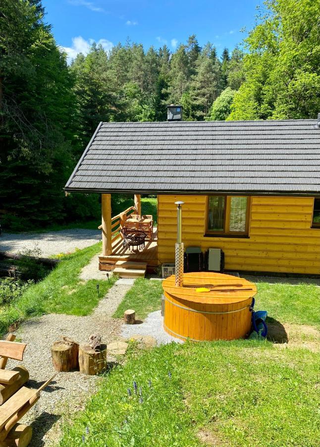 Lodge Bieszczady Nad Stawem